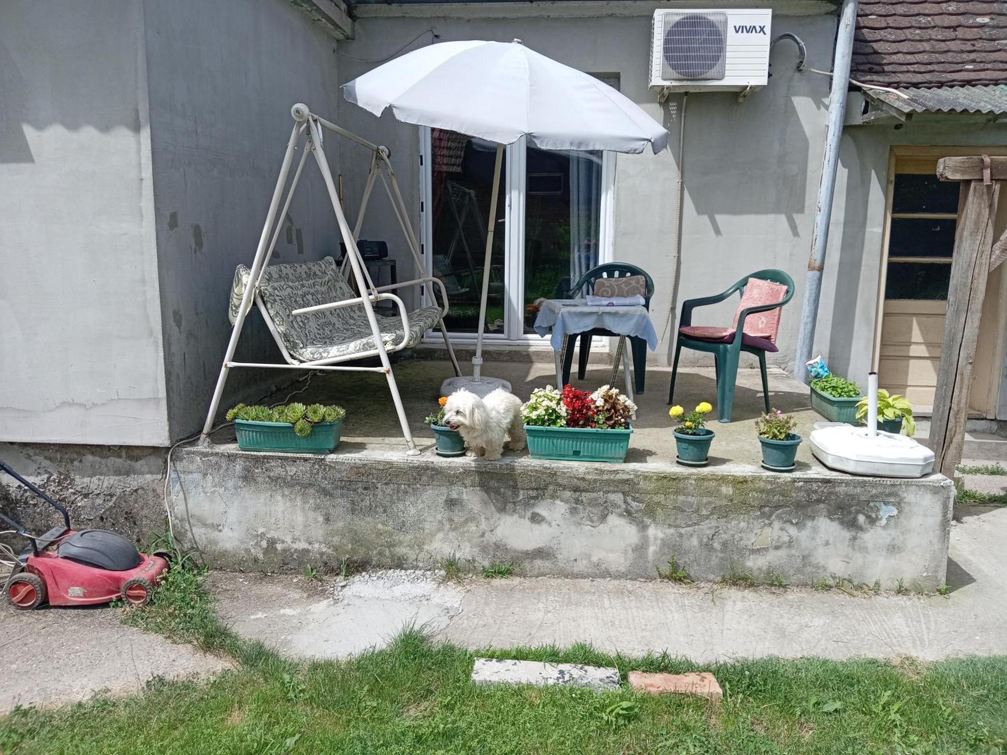 "Poetsko Cose" Nikole Tesle 86 Casa de hóspedes Morović Exterior foto